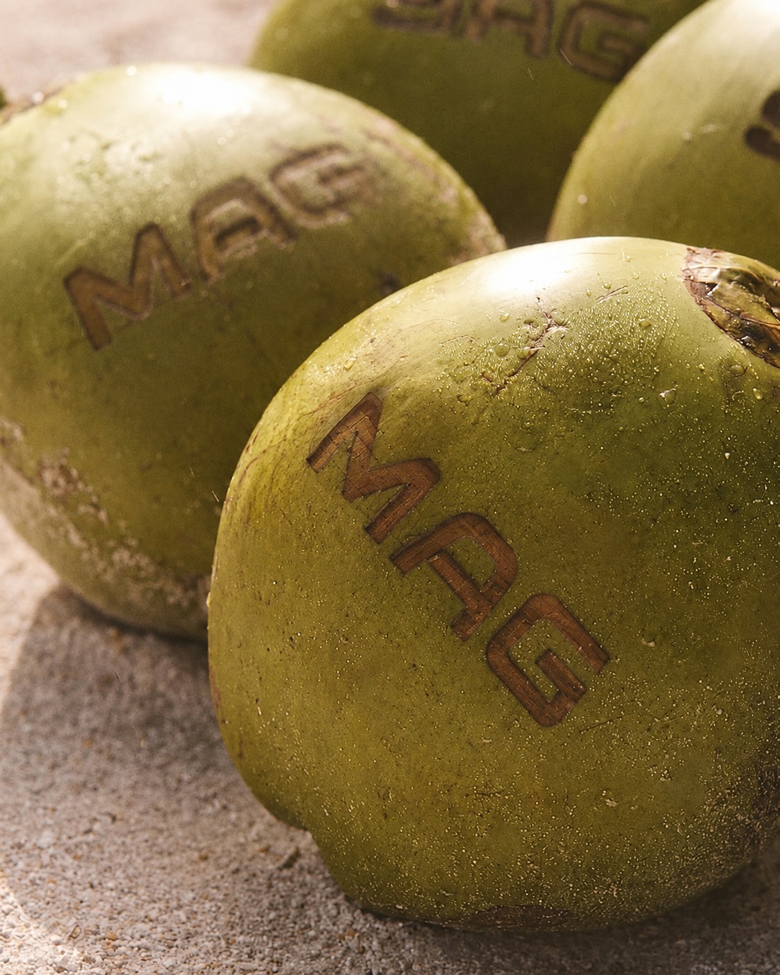 Tropical coconuts